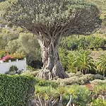 Pintadera's House/tara * איקוד דה לוס וינוס